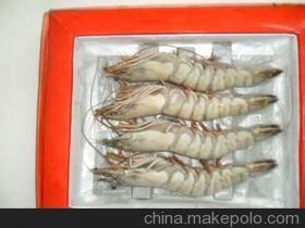 優質鮮活龍蝦與水產批發，廠家直銷保障品質