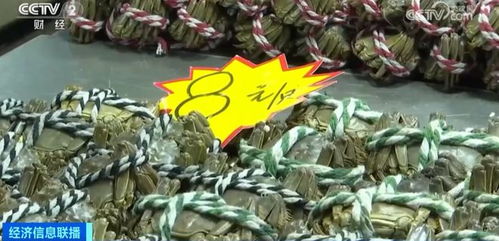 金華正大量上市，價(jià)格大跳水！水產(chǎn)品批發(fā)需注意這些問題